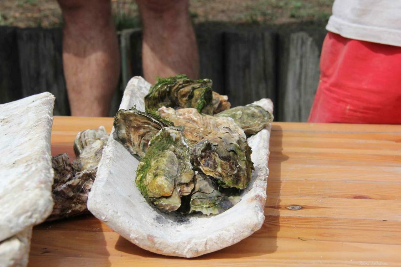 Les Pieds Dans L'Eau Lejlighed Arcachon Eksteriør billede